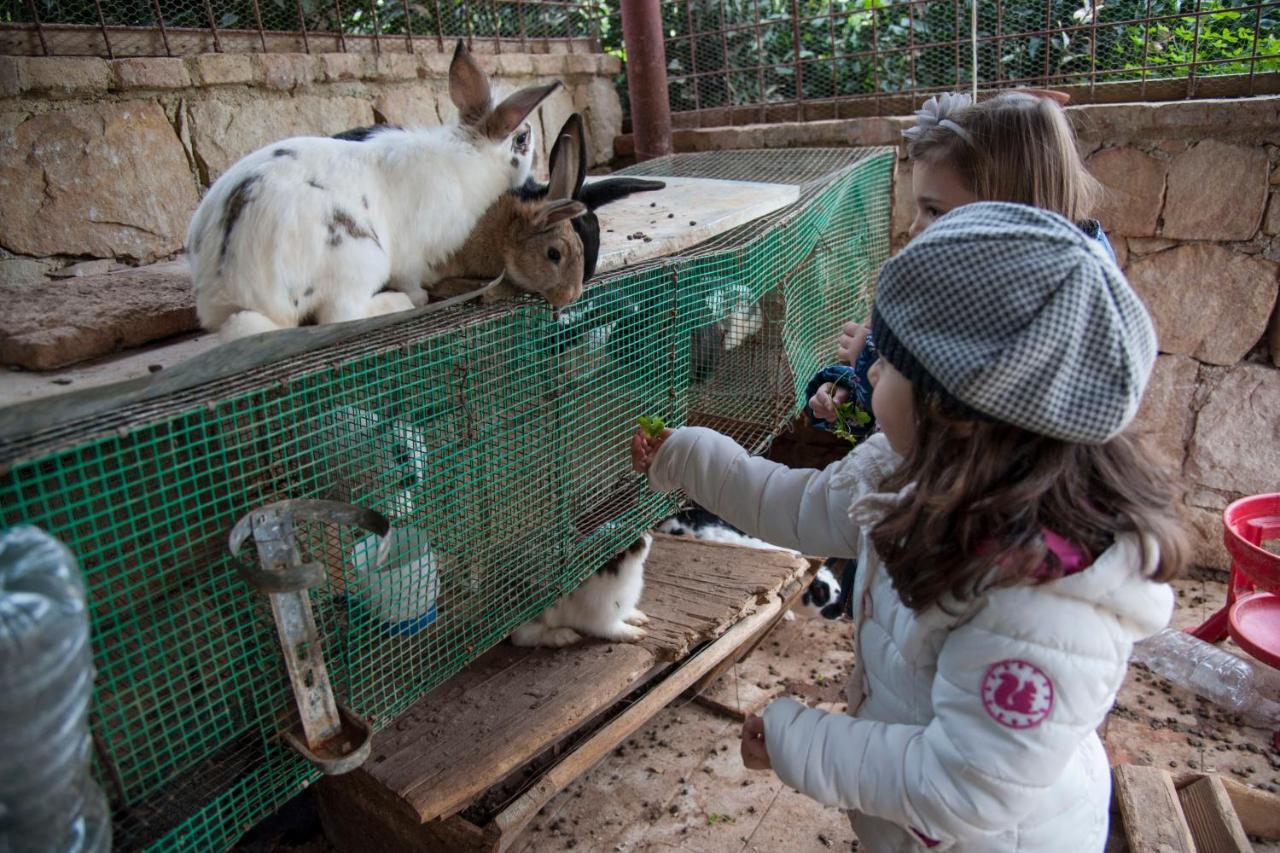 Agroturismo Azienda Agrituristica Bergi
